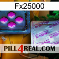 Fx25000 37